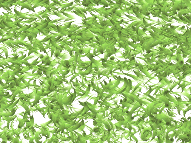 Ferny Viney Brush Thing